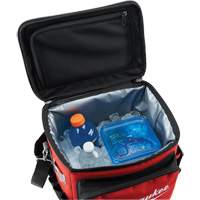 Jobsite Cooler, 20.5 L Capacity TEQ855 | Johnston Equipment