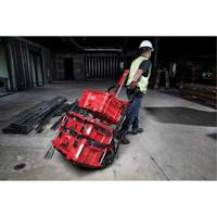 Packout™ 2-Wheel Cart TER104 | Johnston Equipment