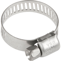 Hose Clamps - Stainless Steel Band & Screw, Min Dia. 0.316, Max Dia. 7/8" TLY284 | Johnston Equipment