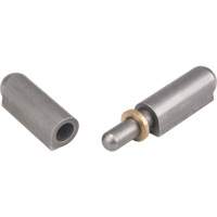 Weld-On Hinge, 0.512" Dia. x 3.15" L, Mild Steel w/Fixed Steel Pin TTV436 | Johnston Equipment
