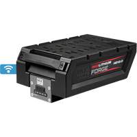 MX Fuel™ RedLithium™ Forge™ HD12.0 Battery Pack UAW027 | Johnston Equipment