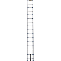 Telescopic Ladder, 3' - 15.5', Aluminum, 250 lbs. Capacity, Type 1 VC252 | Johnston Equipment