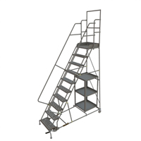 Stock Picking Rolling Ladder VC636 | Johnston Equipment