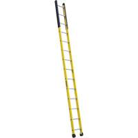 Single Manhole Ladder, 14', Fibreglass, 375 lbs., CSA Grade 1AA VD465 | Johnston Equipment