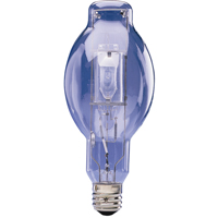 High Intensity Discharge Lamps (HID) XB219 | Johnston Equipment