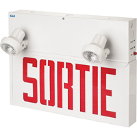 Stella Combination Signs - Sortie, LED, Hardwired, 17-1/2" L x 12-1/2" W, French XB932 | Johnston Equipment