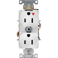 Industrial Grade Isolated Duplex Outlet XH444 | Johnston Equipment