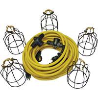 LED String Lights with Connector, 5 Lights, 50' L, Metal Housing XI324 | Johnston Equipment