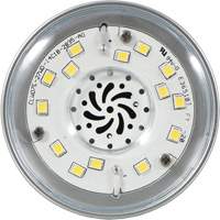 Ultra LED™ High Lumen Lamp, HID, 27 W, 3600 Lumens, Medium Base XI553 | Johnston Equipment