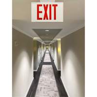 Exit Sign, LED, Battery Operated/Hardwired, 12-1/5" L x 7-1/2" W, English XI788 | Johnston Equipment