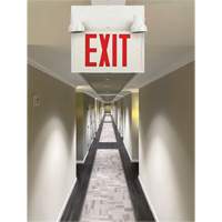 Exit Sign with Security Lights, LED, Battery Operated/Hardwired, 12-1/10" L x 11" W, English XI789 | Johnston Equipment
