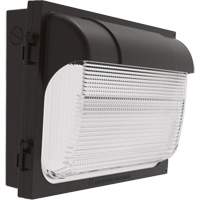 TWX Wall Luminaire, LED, 480 V, 9 W - 54 W, 14" H x 18" W x 5" D XI974 | Johnston Equipment
