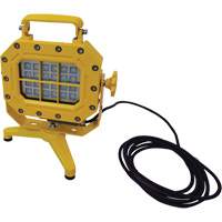 Explosion Proof Floodlight with Stand, LED, 40 W, 5600 Lumens, Aluminum Housing XJ040 | Johnston Equipment