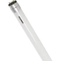 Ampoule DEL en verre givré SubstiTUBE<sup>MD</sup>, 12 W, T8, 5000 K, 48" l XJ097 | Johnston Equipment
