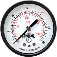 Manomètre économique,  2", 0 - 30 psi, Fixation arrière, Analogique YB863 | Johnston Equipment