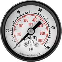 Manomètre économique,  1-1/2", 0 - 100 psi, Fixation arrière, Analogique YB872 | Johnston Equipment