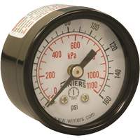 Manomètre économique,  1-1/2", 0 - 160 psi, Fixation arrière, Analogique YB873 | Johnston Equipment