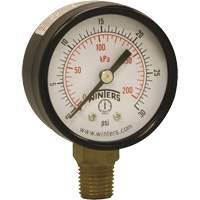 Manomètre économique,  2", 0 - 30 psi, Fixation inférieure, Analogique YB874 | Johnston Equipment