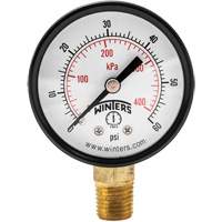 Manomètre économique,  2", 0 - 60 psi, Fixation inférieure, Analogique YB875 | Johnston Equipment